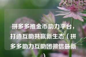 拼多多推金币助力平台，打造互助共赢新生态（拼多多助力互助团微信最新）  第1张