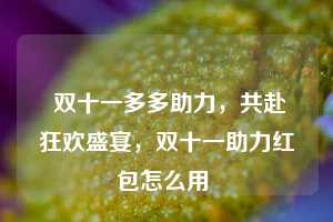  双十一多多助力，共赴狂欢盛宴，双十一助力红包怎么用 第1张