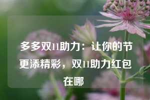  多多双11助力：让你的节更添精彩，双11助力红包在哪 第1张