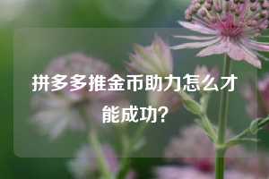 拼多多推金币助力怎么才能成功？  拼多多助力 拼多多推金币 拼多多推金币助力 拼多多助力平台 拼多多助力项目 拼多多助力网站 赚钱项目 暑假赚钱项目 拼多多赚钱 第1张