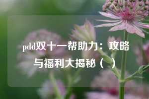  pdd双十一帮助力：攻略与福利大揭秘（ ） 第1张